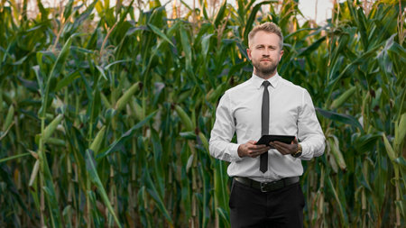Attractive businessman posing with his black tablet in the middle of a green corn field.の写真素材