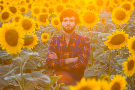 Handsome young farmer standing in the middle of a golden sunflower field with his arms crossed, during a majestic sunrise.の写真素材