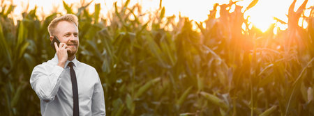 Handsome businessman talking on his phone in the middle of a beautiful corn field, during sunrise.の写真素材