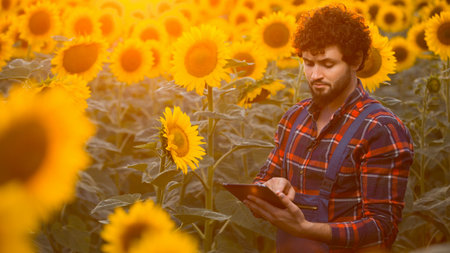 Handsome young farmer standing in the middle of a golden sunflower field making notes on his tablet during a majestic sunrise.の写真素材