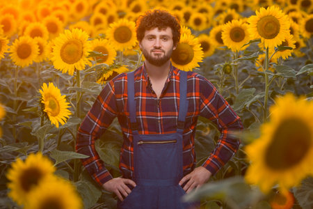 Handsome young farmer standing in the middle of a golden sunflower field during a majestic sunrise, shot upfront.の写真素材