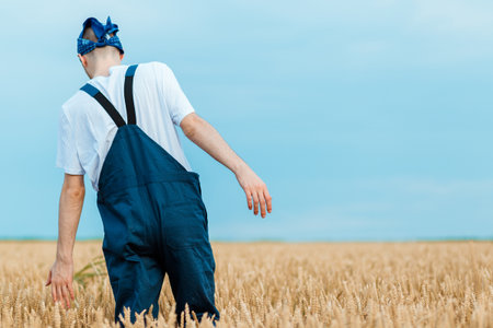 Farmer walking and examining his beautiful, yellow wheat field, shot from behind.
