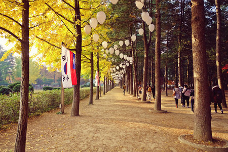 along the walk wayの写真素材
