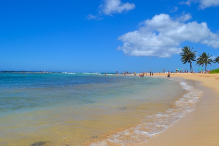 Generic beach scene on north shoreのeditorial素材