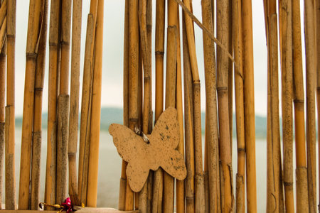 Republic of Korea South Chungcheong Province Seocheon landscapeの写真素材