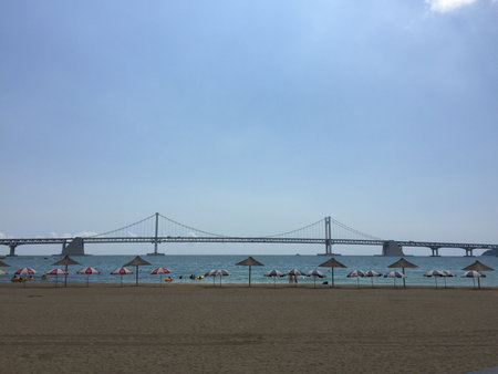 beachの写真素材