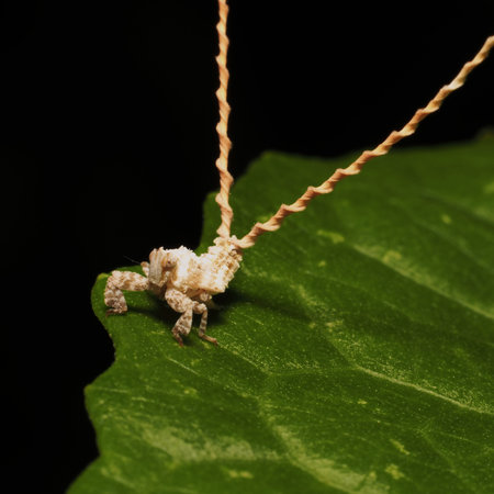 Tree Hopper with 2 talesの写真素材