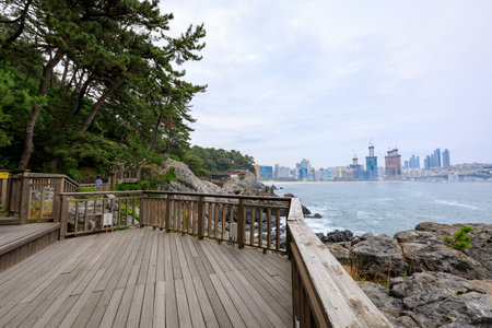 Jun 21, 2017 Dongbaekseom(Island of Camellias) coast walkway in Busan, South Koreaのeditorial素材