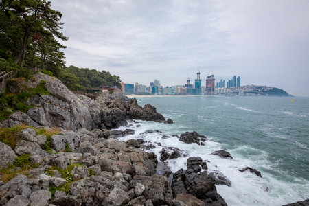 Jun 21, 2017 Dongbaekseom(Island of Camellias) coast walkway in Busan, South Koreaのeditorial素材