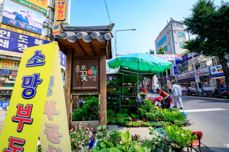Jongno flower market on Jun 18, 2017 in Seoul city, South Korea - Tour destinationのeditorial素材
