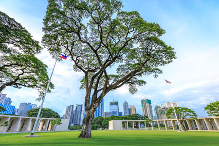 Manila American Cemetery in Taguig City, Metro Manila, Philippines.のeditorial素材