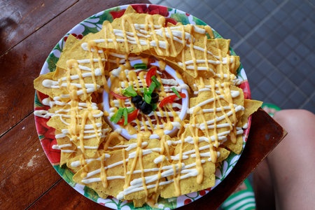 Nachos with salsa sauceの写真素材