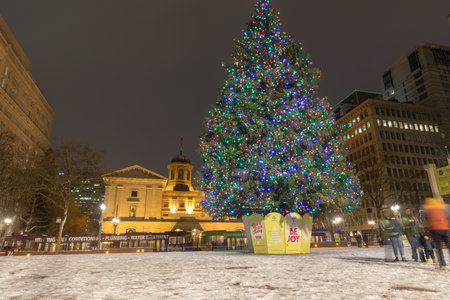 Pioneer Courthouse in Pioneer Square with Christmas tree at white christmas nightのeditorial素材