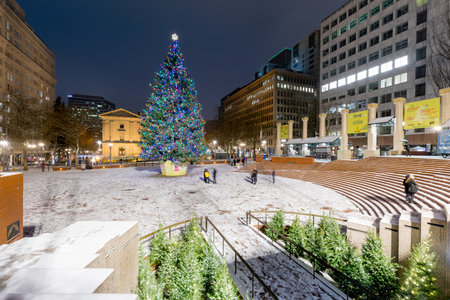 Pioneer Courthouse in Pioneer Square with Christmas tree at white christmas nightのeditorial素材