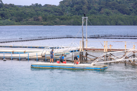 SUBIC BAY, MANILA, PHILIPPINES : JAN 28, 2018 - Instructors wating Dolphins at Ocean Adventure Subic bayのeditorial素材