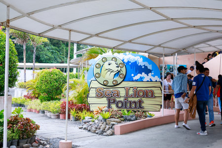 SUBIC BAY, MANILA, PHILIPPINES : JAN 28, 2018 - Signboard of Sea Lion show in Subic Ocean Adventureのeditorial素材