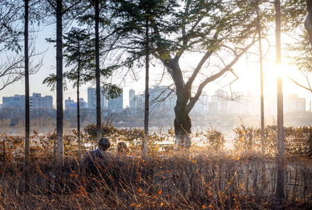 View of the Seonyudo Park in Seoul, South Korea. The park used to be a filtration plant, thus the industrial look, but was converted into an ecological park.のeditorial素材