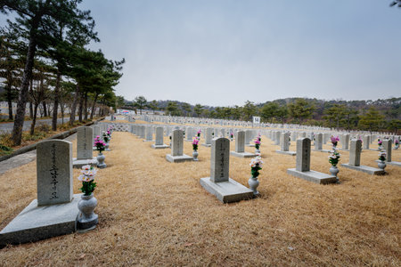 Seoul, South Korea - March 19, 2018 : Tombstones in Seoul National Cemetery