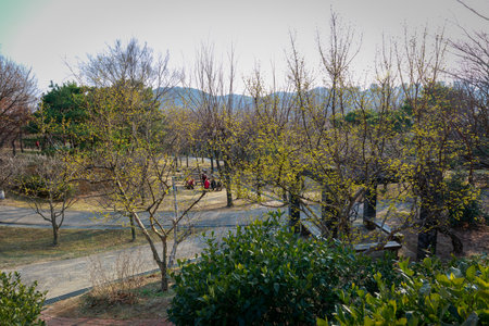 Gimhae, South Korea - March 10, 2018 : Walking mountains trail, back side of Gimhae National Museumのeditorial素材