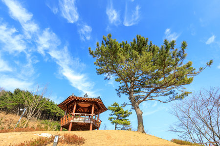Busan, South Korea - March 14, 2018 : Scenery of Mujedeung park at spring season in Busan cityのeditorial素材