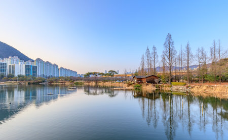 Gimhae Yeonji Park at winterのeditorial素材