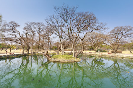 Namwon, South Korea - March 25, 2018 : Traditional Gwanghalluwon Pavilion scene in springのeditorial素材
