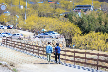 Gurye, South Korea - March 26, 2018 : Scenery of Cornus officinalis flower festival in Guryeのeditorial素材