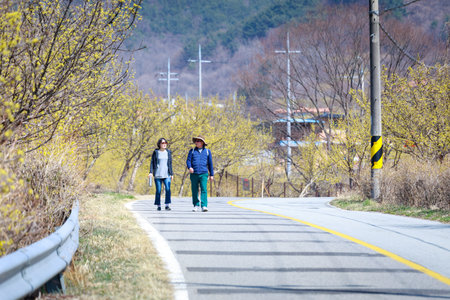 Gurye, South Korea - March 26, 2018 : Scenery of Cornus officinalis flower festival in Gurye
