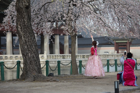 Seoul, South Korea - Apr 6, 2018 : Asian Korean woman dressed Hanbok in traditional dress walking in Gyeongbokgung Palaceのeditorial素材
