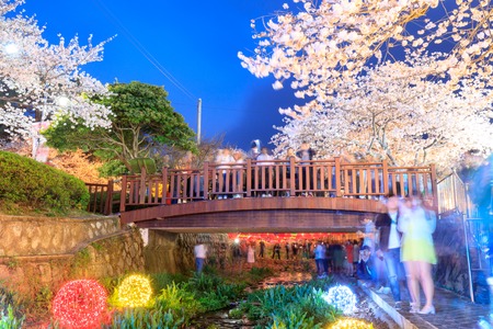 Jinhae, South Korea - Apr 1, 2018 : Spring Cherry blossom festival at Yeojwacheon Stream at night in Jinhaeのeditorial素材