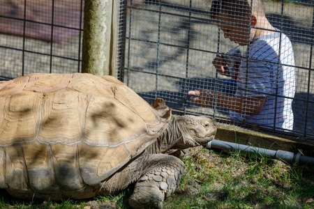 Portland, Oregon, USA - April 24, 2018 : Scenery of Oregon Zoo, which is located in Washington Park, Portlandのeditorial素材