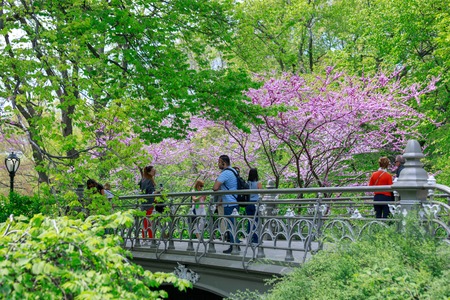 New York, USA - May 8, 2018 : Scenery of Central Park at spring in NYCのeditorial素材