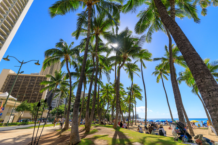 Honolulu, Hawaii - Dec 23, 2018 : Waikiki beach lined with palm coconut trees in Honoluluのeditorial素材