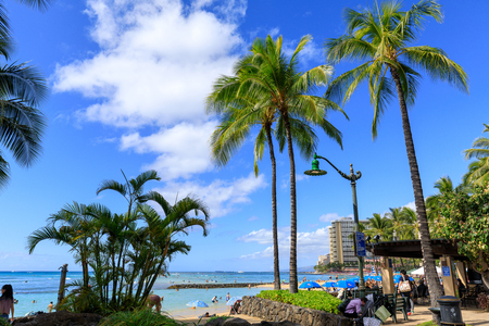 Honolulu, Hawaii - Dec 23, 2018 : Waikiki beach lined with palm coconut trees in Honoluluのeditorial素材