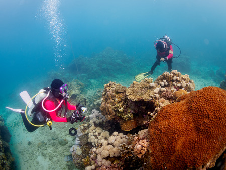 Anilao, Philippines - Jul 22, 2017 : Scuba diver doing underwater photography in Anilao Philippinesのeditorial素材