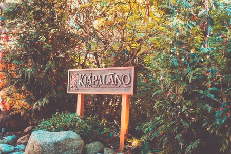 Vancouver, British Columbia - Nov 28, 2019 : View of Capilano Suspension Bridge park in north...