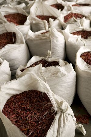 Storage and drying of the chili peppers, prepping for market.の写真素材