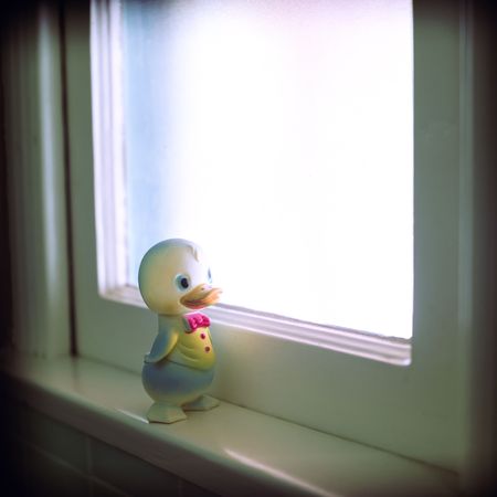 Rubber Duck, most often used as a distraction to help the hygeine challenged achieve clenliness.の写真素材
