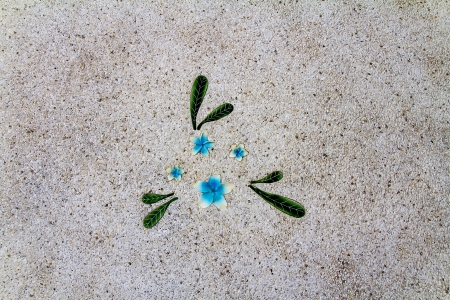 Cement floor Floral patternの写真素材