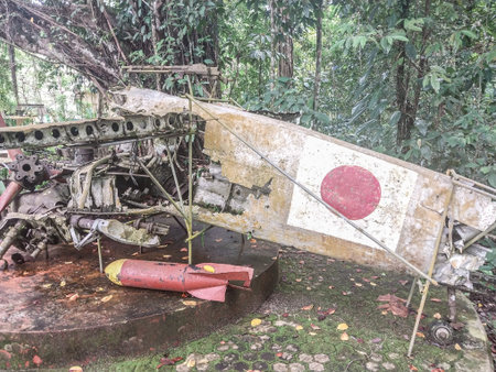 Old broken and damaged car in the jungle, closeup of photo