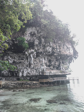 Traditional Stilt Houses and Coastal Forest in Padwa Village, Biak Papuaのeditorial素材