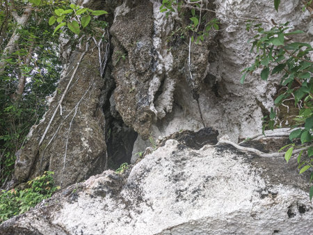 Traditional Stilt Houses and Coastal Forest in Padwa Village, Biak Papuaのeditorial素材