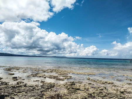 beautiful beach and tropical sea under the blue sky with white clouds