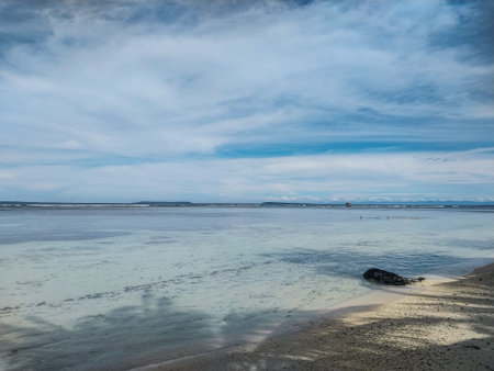 Beautiful seascape at low tide. Blue sky with white clouds.