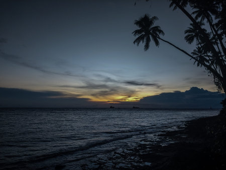 Silhouette of coconut palm tree at sunset on the beach.