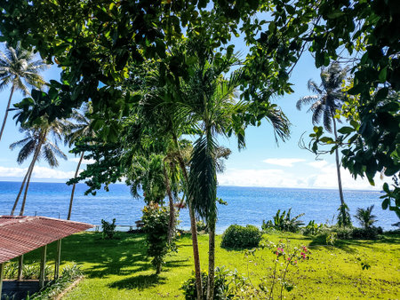 Tropical beach with palm trees, sea and blue sky background