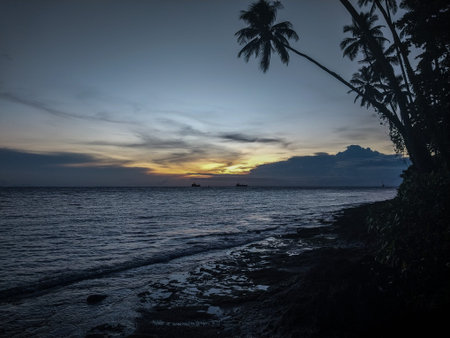 Beautiful sunset over the sea with palm trees in the foreground.