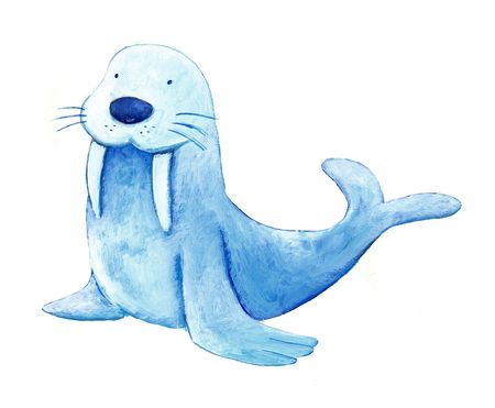 blue baby sea lion の写真素材