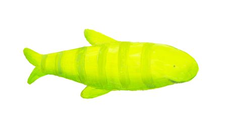 long green fishの写真素材