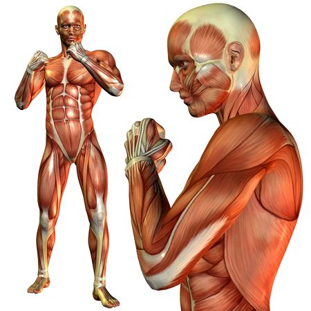 3D rendering of the muscle man in a fighter's poseの写真素材